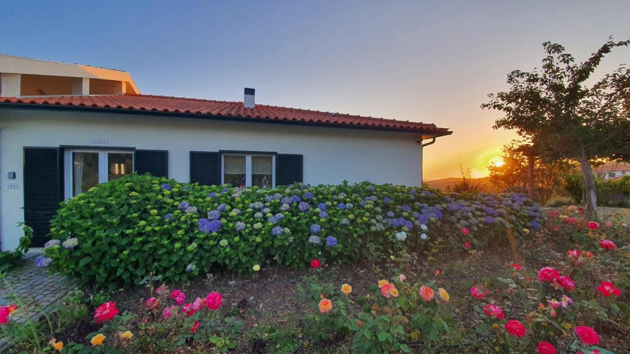 Coja Mountain Perch Villa Vinho  Bagian luar foto