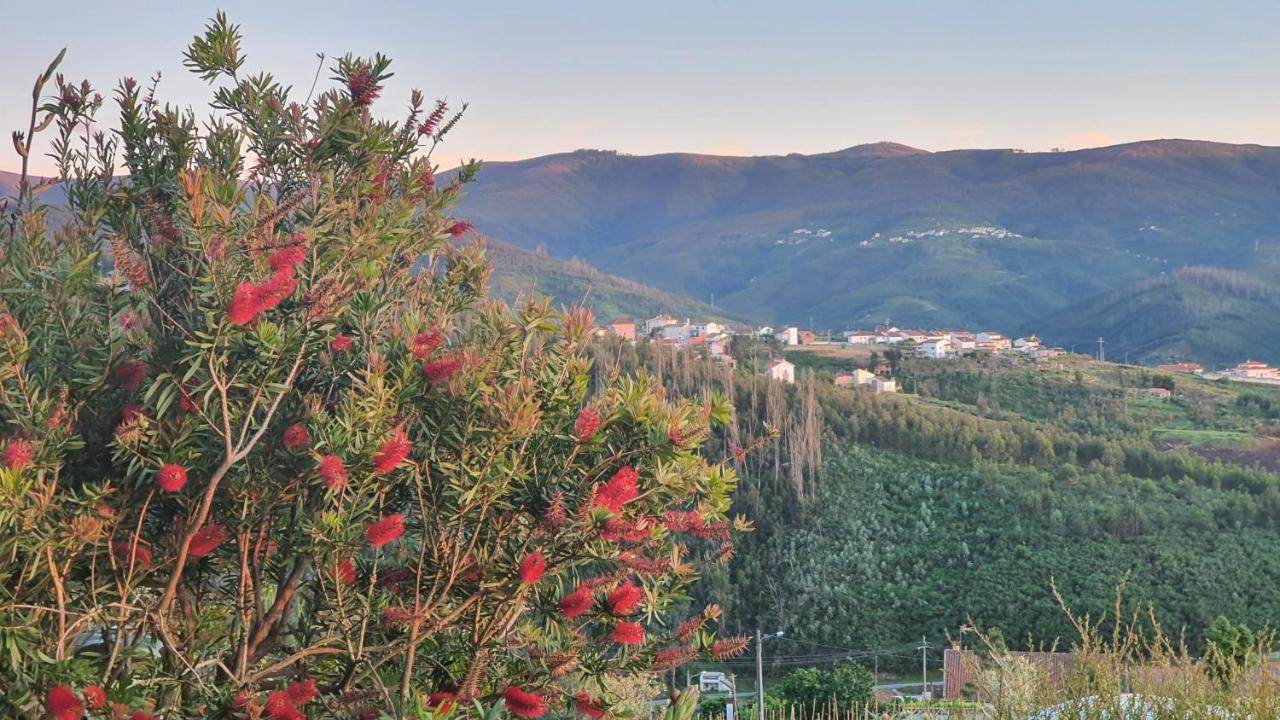 Coja Mountain Perch Villa Vinho  Bagian luar foto