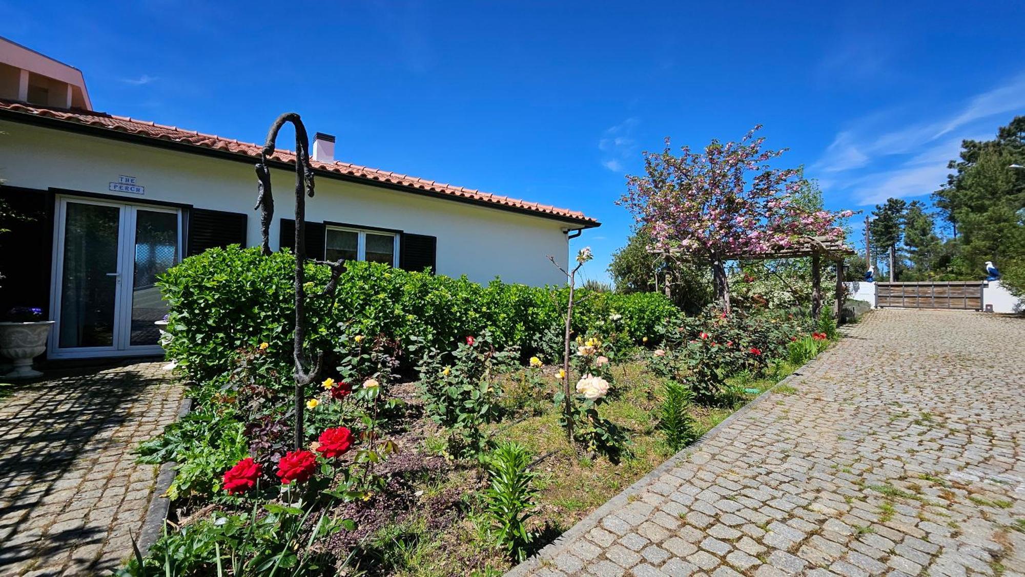 Coja Mountain Perch Villa Vinho  Bagian luar foto
