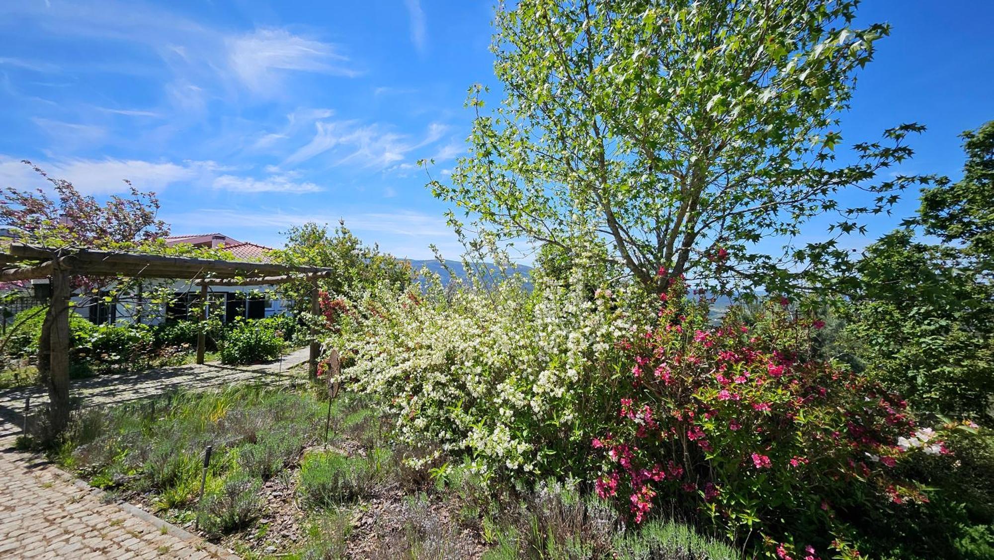 Coja Mountain Perch Villa Vinho  Bagian luar foto