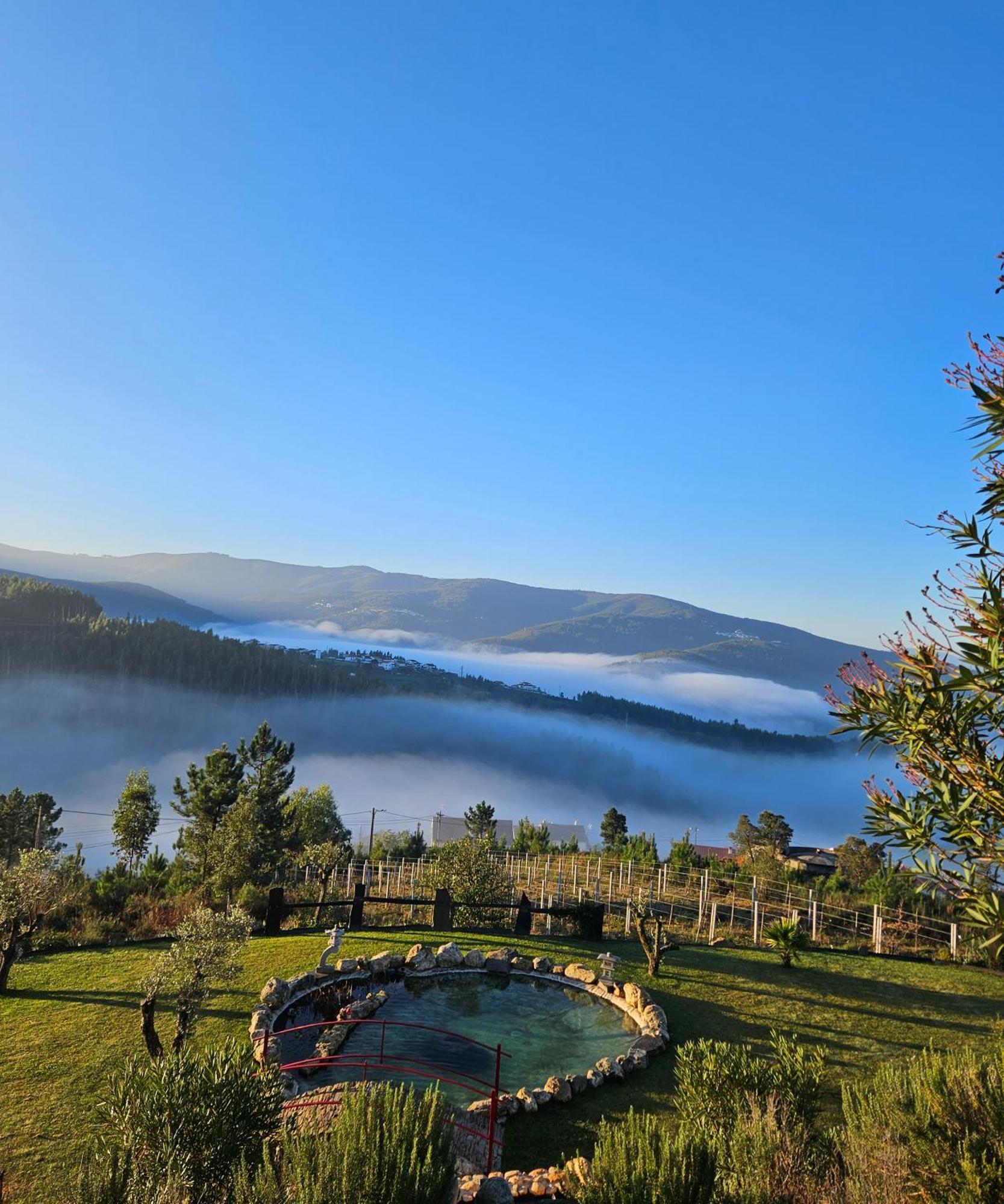 Coja Mountain Perch Villa Vinho  Bagian luar foto